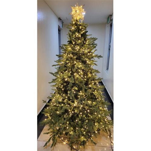 [Green Christmas Tree]H120501 (180Cm)