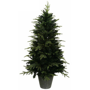 [Fiords Pine Tree (Green)](90cm~240cm)H420011