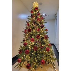 [Green Christmas Tree (Red1)](180Cm, 210Cm, 240Cm)H120503