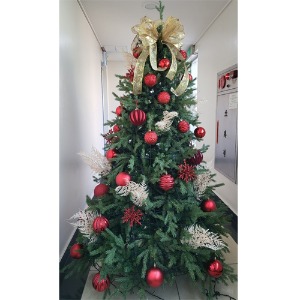 [Green Christmas Tree (Red2)](180Cm, 210Cm, 240Cm)H120507
